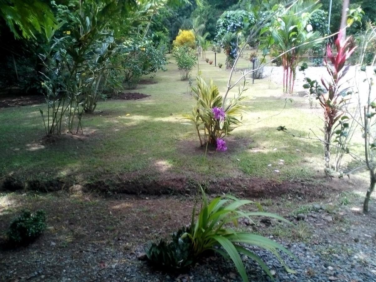 Puerto Vargas Lodge Кауита Экстерьер фото